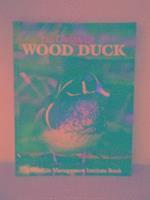 bokomslag Unique Wood Duck