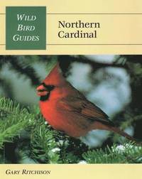 bokomslag Northern Cardinal