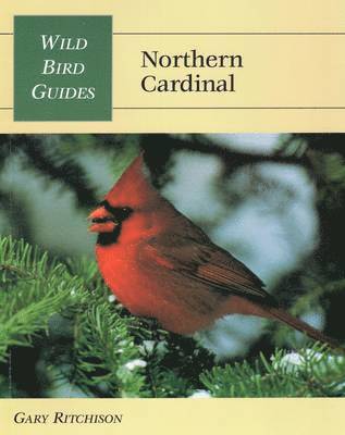 bokomslag Northern Cardinal