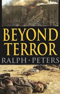 bokomslag Beyond Terror