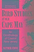 bokomslag Bird Studies at Old Cape May