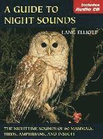 bokomslag Guide to Night Sounds
