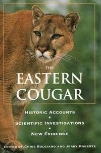 bokomslag Eastern Cougar