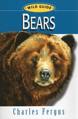 Charles Fergus - Bears, Häftad. Tillgänglighet: Tillfälligt slut