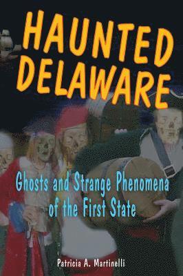 bokomslag Haunted Delaware