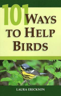 bokomslag 101 Ways to Help Birds
