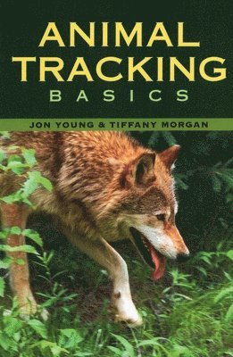 Jon Young, Tiffany Morgan - Animal Tracking Basics, Häftad