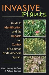 bokomslag Invasive Plants