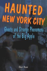 bokomslag Haunted New York City