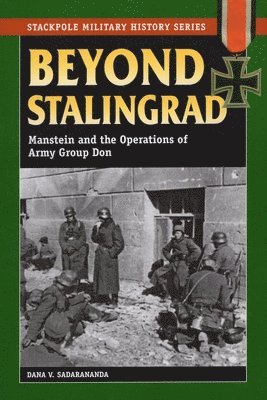 bokomslag Beyond Stalingrad
