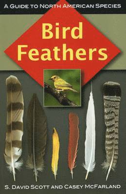 bokomslag Bird Feathers