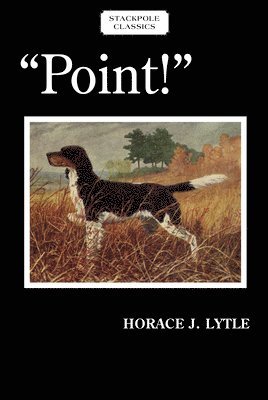 bokomslag Point!