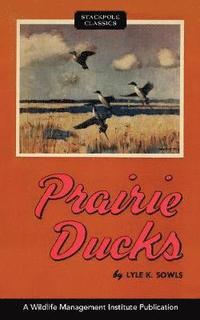 bokomslag Prairie Ducks