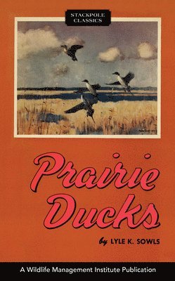 Prairie Ducks 1