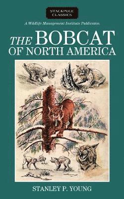 bokomslag The Bobcat of North America