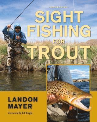 Sight Fishing for Trout 1