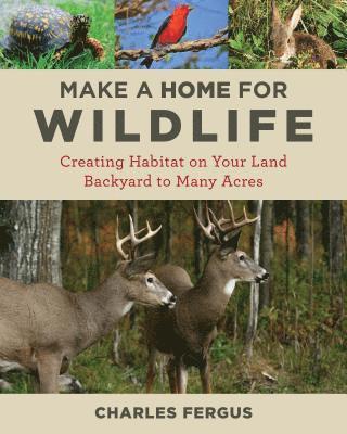 Make a Home for Wildlife 1