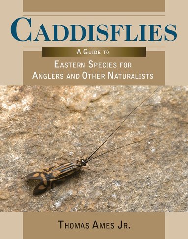 bokomslag Caddisflies