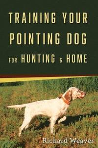 bokomslag Training Your Pointing Dog
