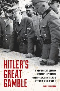 bokomslag Hitler's Great Gamble