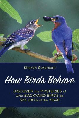 bokomslag How Birds Behave