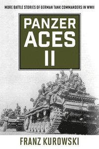 bokomslag Panzer Aces II