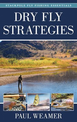 Paul Weamer - Dry Fly Strategies, Inbunden