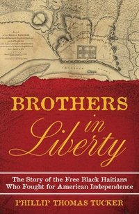 bokomslag Brothers in Liberty