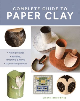 Complete Guide to Paper Clay 1