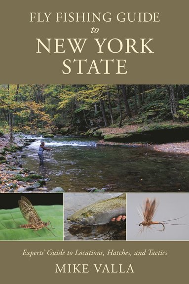 bokomslag Fly Fishing Guide to New York State