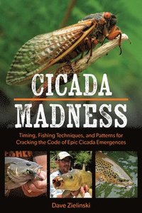 bokomslag Cicada Madness