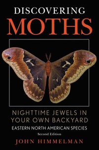 bokomslag Discovering Moths
