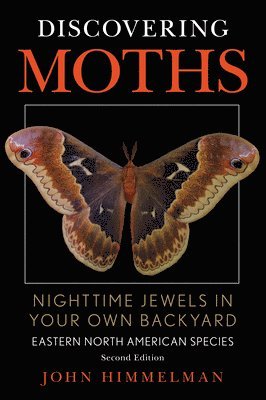 Discovering Moths 1