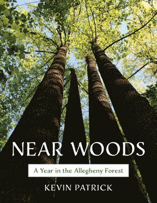 Kevin Patrick - Near Woods, Häftad