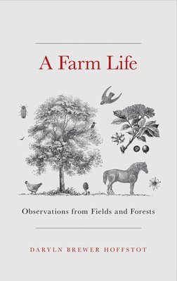 A Farm Life 1