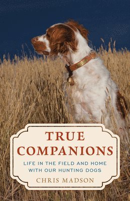 True Companions 1