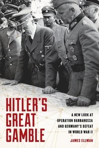 bokomslag Hitler's Great Gamble