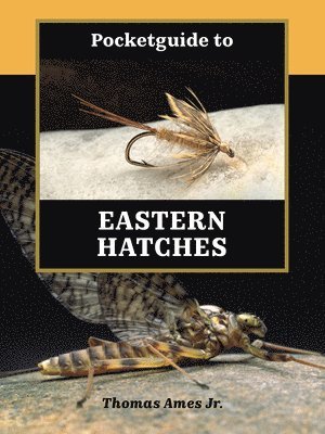 bokomslag Pocketguide to Eastern Hatches