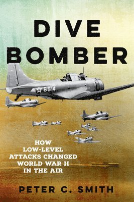 Dive Bomber 1