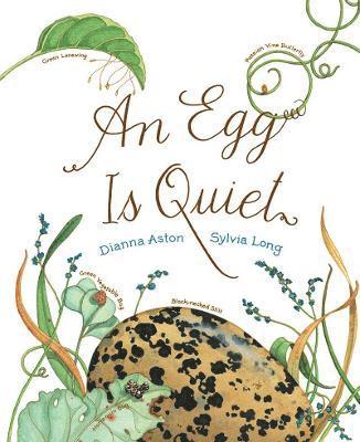 An Egg Is Quiet 1