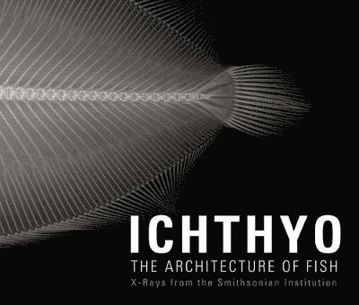 Ichthyo 1