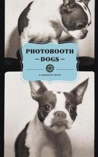 bokomslag Photobooth Dogs