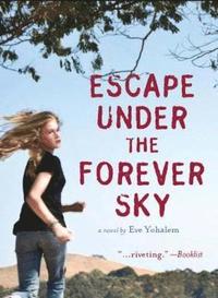 bokomslag Escape Under the Forever Sky