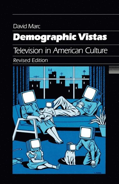 bokomslag Demographic Vistas