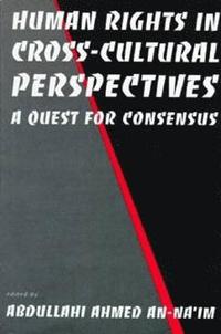 bokomslag Human Rights in Cross-Cultural Perspectives: A Quest for Consensus