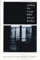 Jean-Michel Rabaté, Jean-Michel Rabate - Writing the Image After Roland Barthes, Häftad