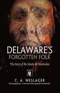 bokomslag Delaware's Forgotten Folk