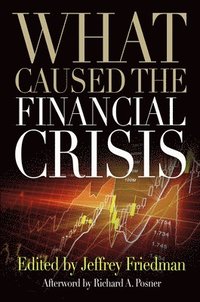 bokomslag What Caused the Financial Crisis