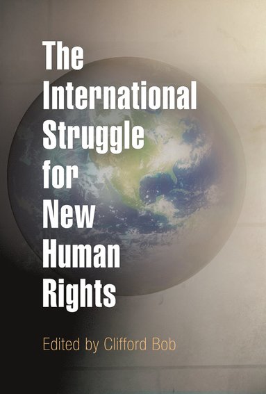 bokomslag International Struggle for New Human Rights