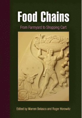 Food Chains 1